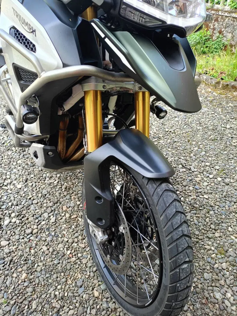 Triumph Tiger 1200 Rally Explorer (2022 - 23) (5)