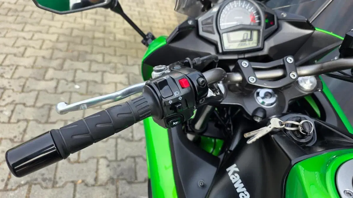 Kawasaki ER-6F ABS (2012 - 16) (16)