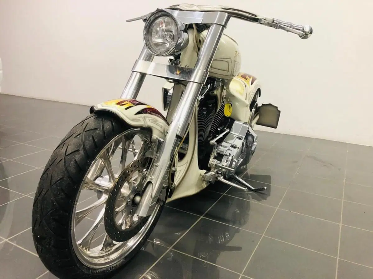 Harley-Davidson 1340 Fat Boy (1990 - 99) - FLSTF (19)