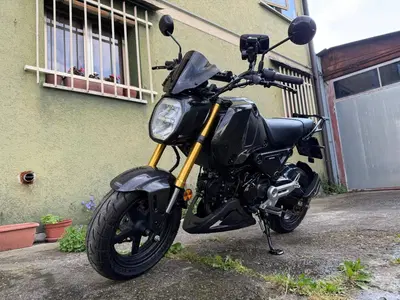 Honda MSX 125 Grom (2021 - 26) usata
