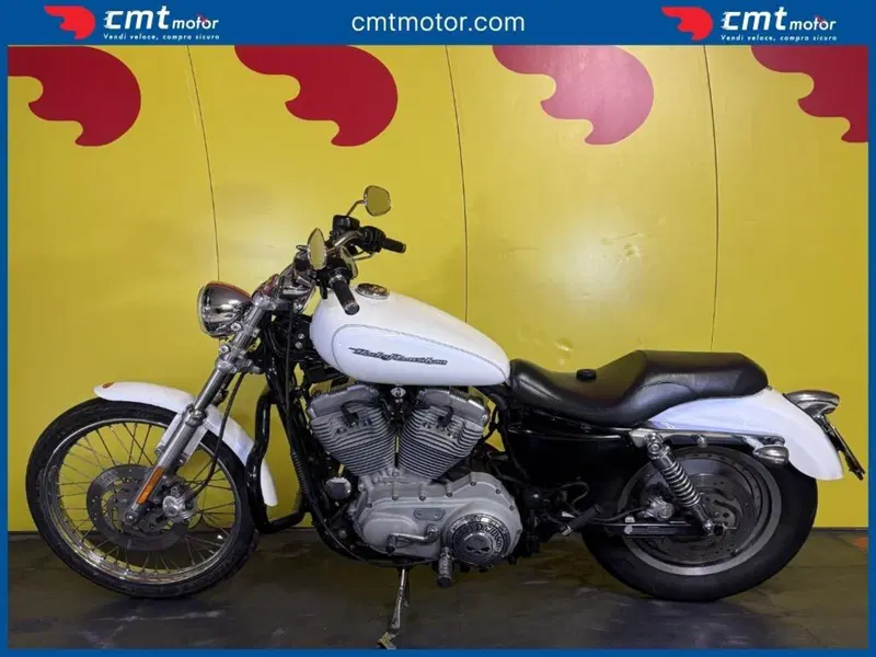 Harley-Davidson 883 Standard (2001 - 05) - XL 883 (3)