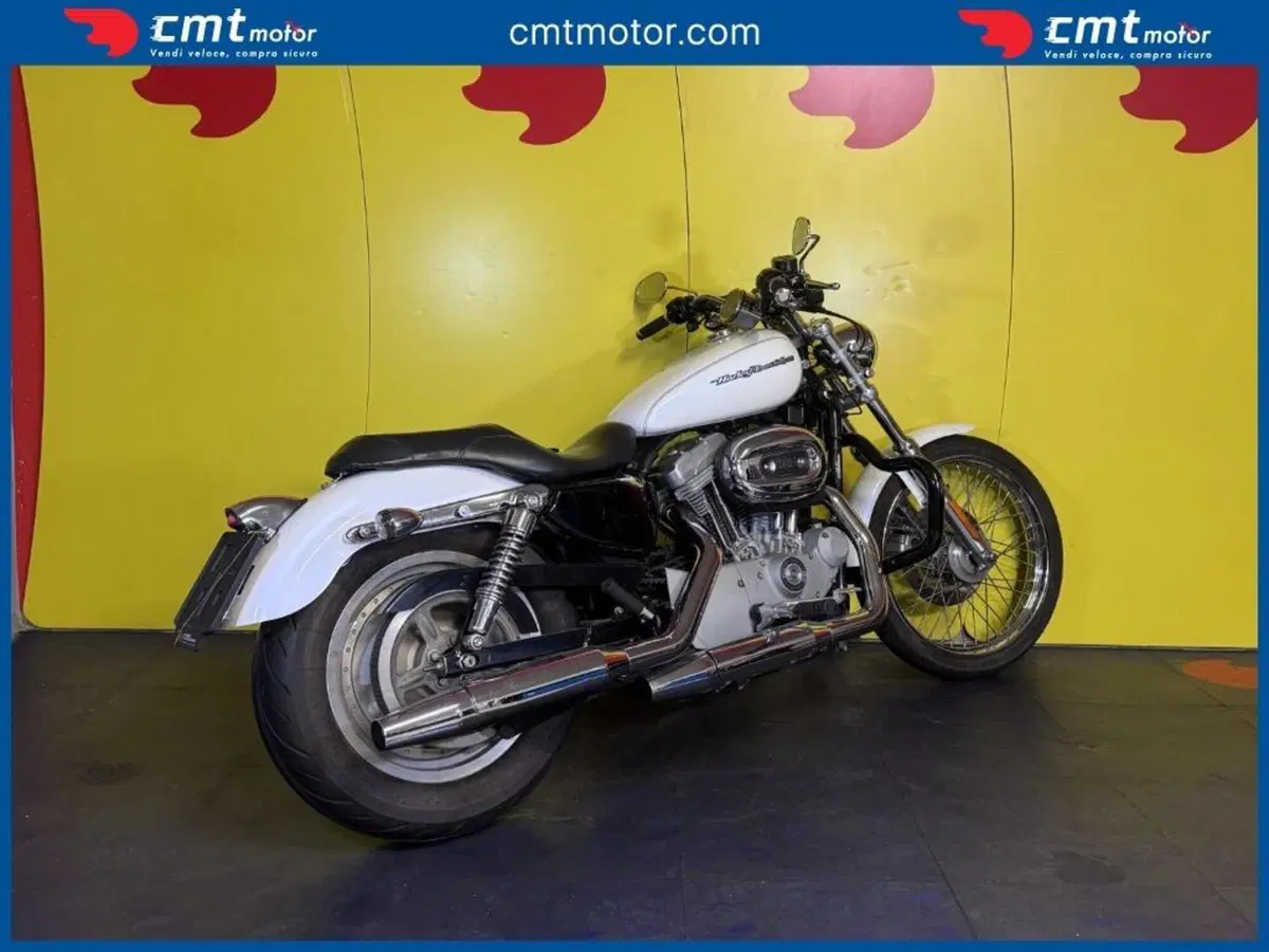 Harley-Davidson 883 Standard (2001 - 05) - XL 883 (4)