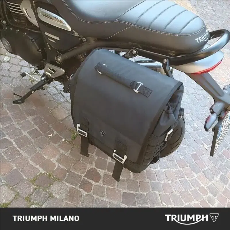 Triumph Speed 400 (2024 - 26) (3)