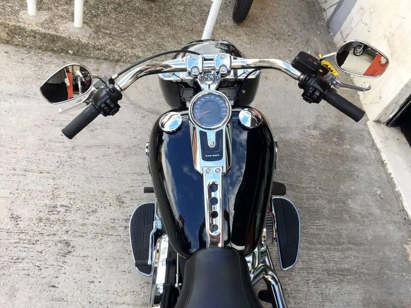 Harley-Davidson Fat Boy 114 (2021 - 24) (10)