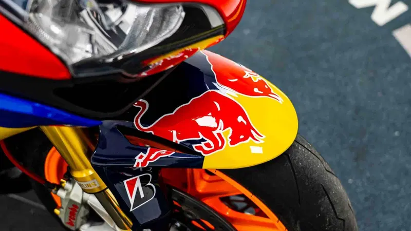 Honda CBR 1000 RR Fireblade (2008 - 11) (16)