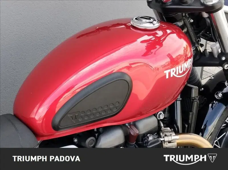 Triumph Street Scrambler 900 (2019 - 20) (10)