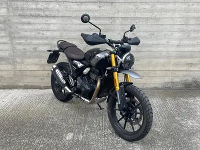 Triumph Scrambler 400 X (2024 - 26) usata
