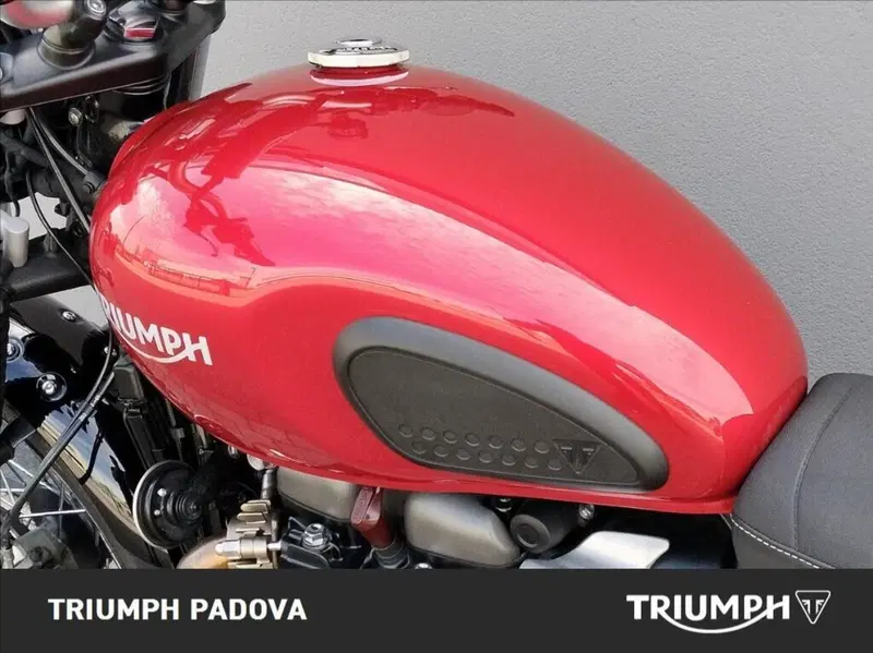 Triumph Street Scrambler 900 (2019 - 20) (8)