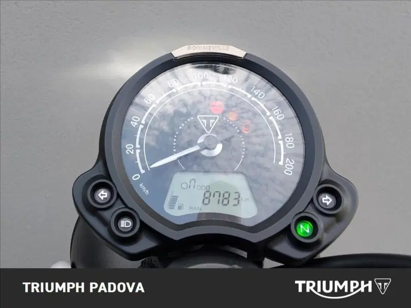 Triumph Street Scrambler 900 (2019 - 20) (13)