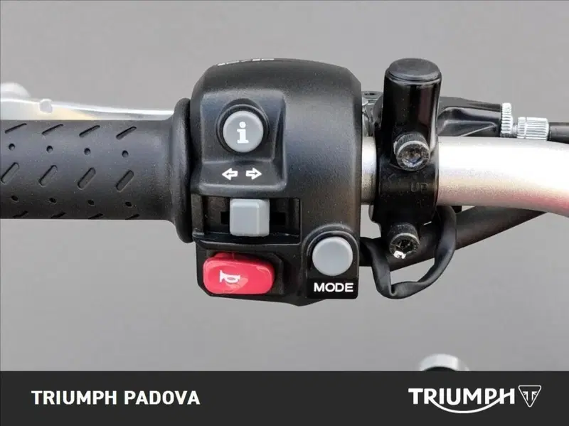 Triumph Street Scrambler 900 (2019 - 20) (12)
