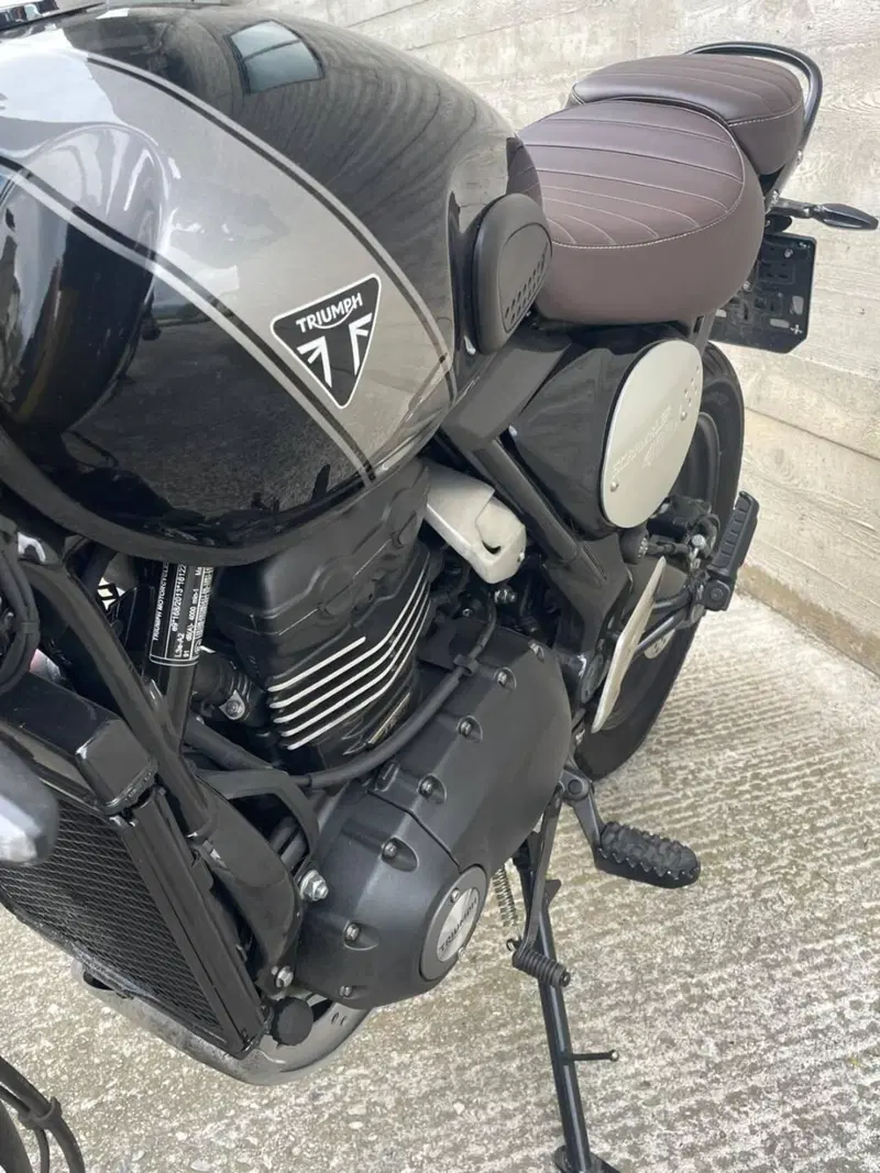 Triumph Scrambler 400 X (2024 - 26) (4)