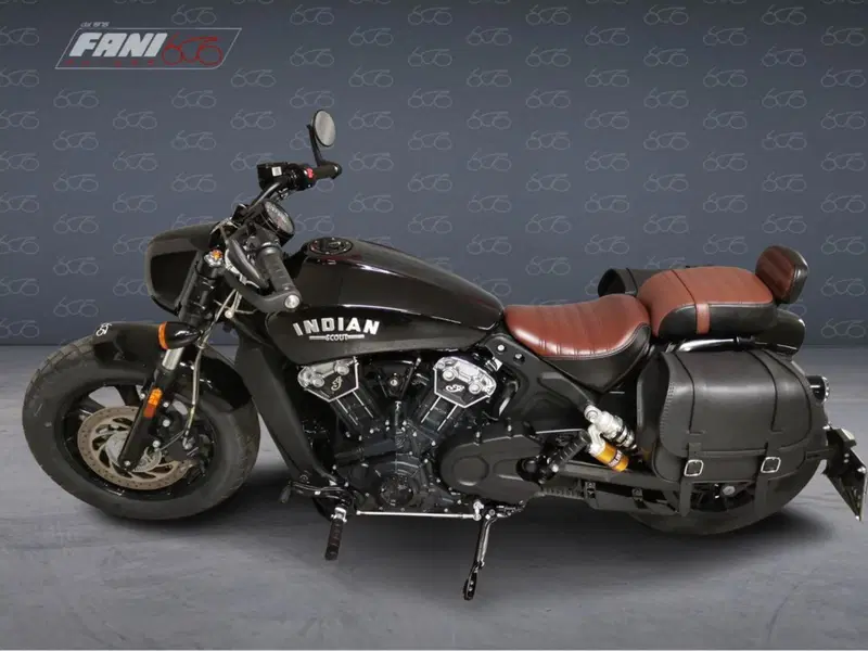 Indian Scout 1133 (2020) (3)