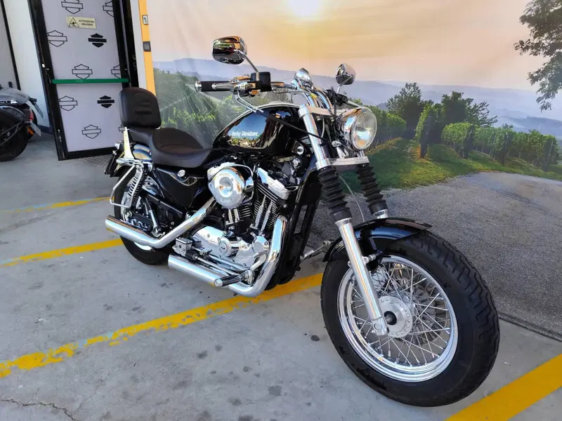Harley-Davidson 1200 Custom (2001 - 03) - XL 1200C (2)