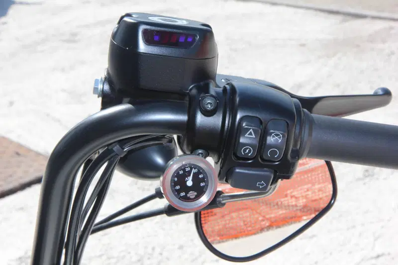 Harley-Davidson 1200 Iron (2018 - 20) - XL1200N (16)