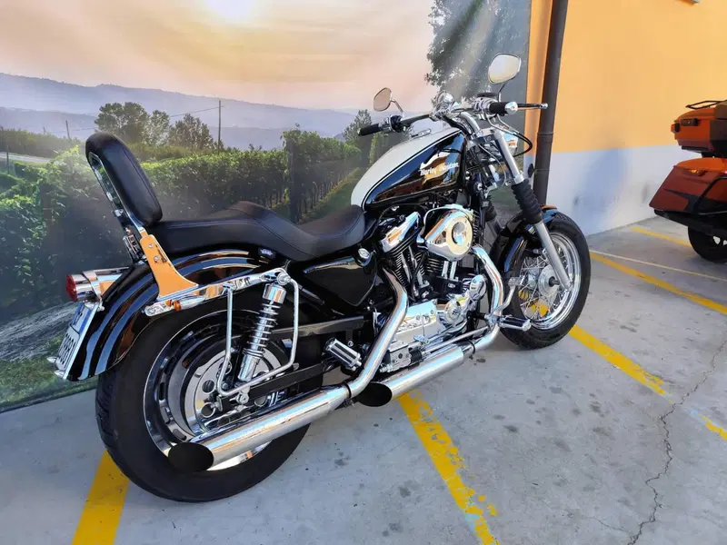 Harley-Davidson 1200 Custom (2001 - 03) - XL 1200C (4)