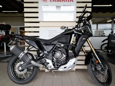 Yamaha T&eacute;n&eacute;r&eacute; 700 World Raid (2022 - 25) usata