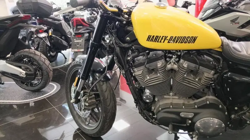 Harley-Davidson 1200 Roadster (2016 - 2017) - XL 1200R (6)