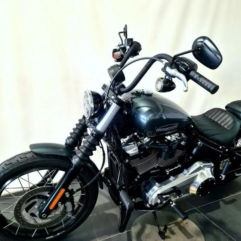 Harley-Davidson Street Bob 117 (2025 - 26) (8)