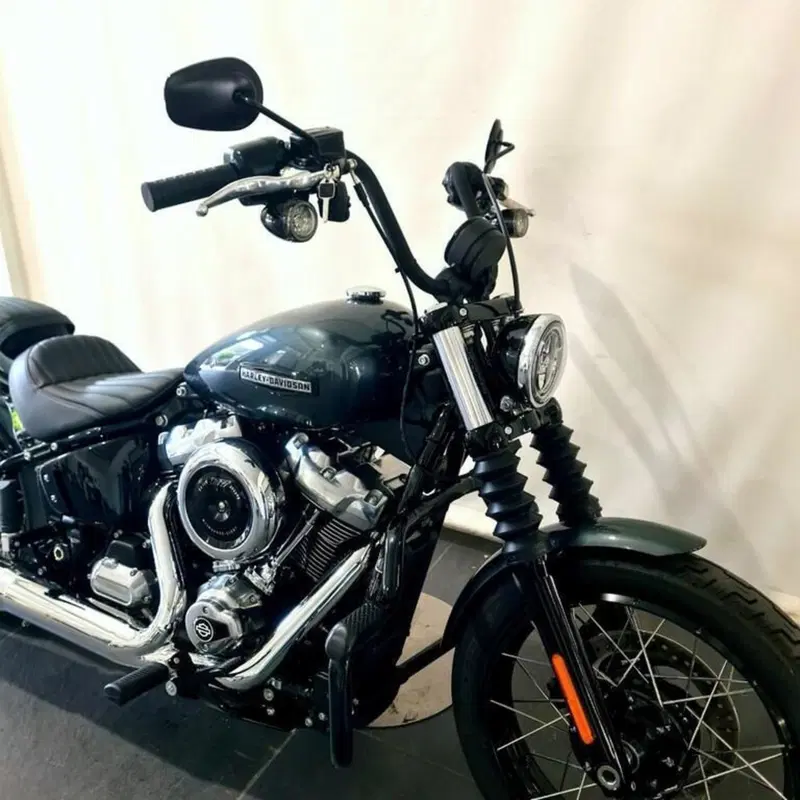 Harley-Davidson Street Bob 117 (2025 - 26) (15)