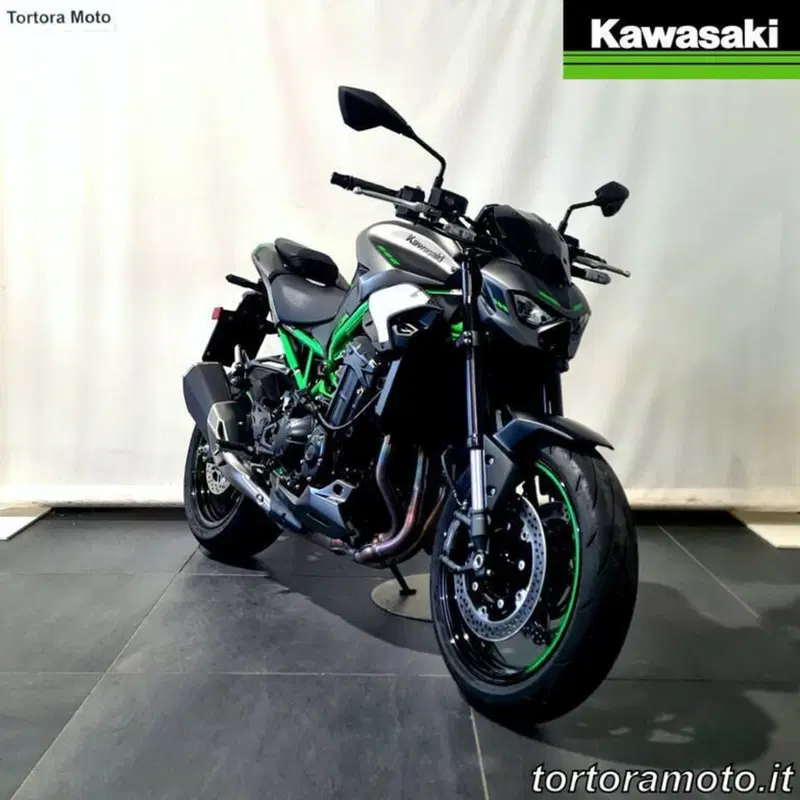 Kawasaki Z 900 (2025 - 26) (4)