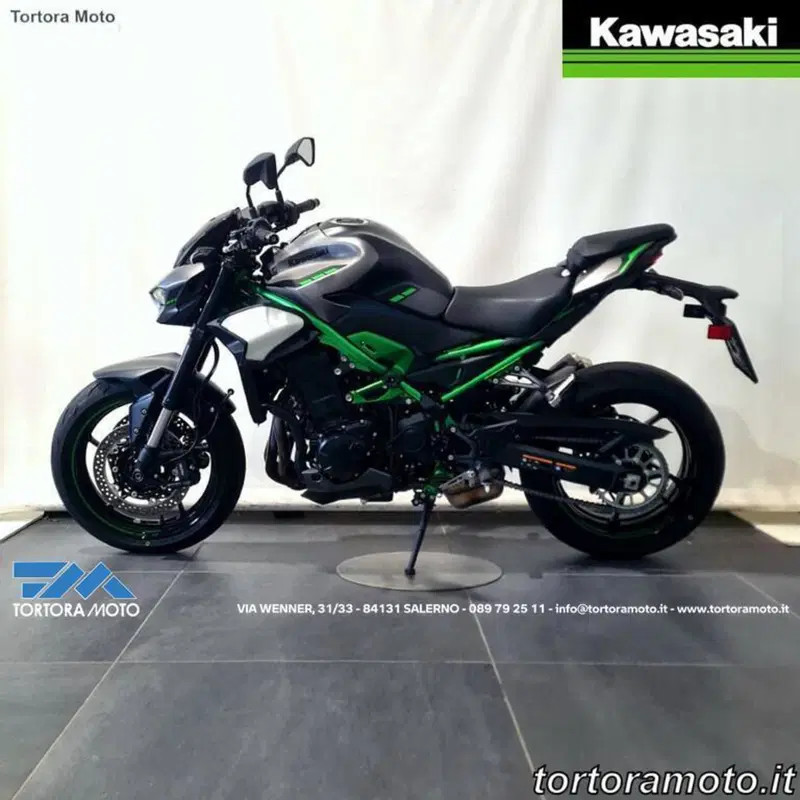 Kawasaki Z 900 (2025 - 26)