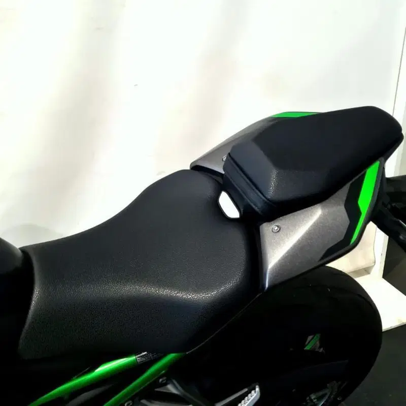 Kawasaki Z 900 (2025 - 26) (12)