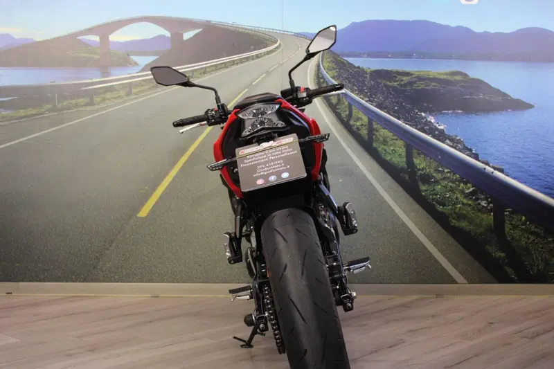 Kawasaki Z 650 50th Anniversary (2022 - 23) (16)