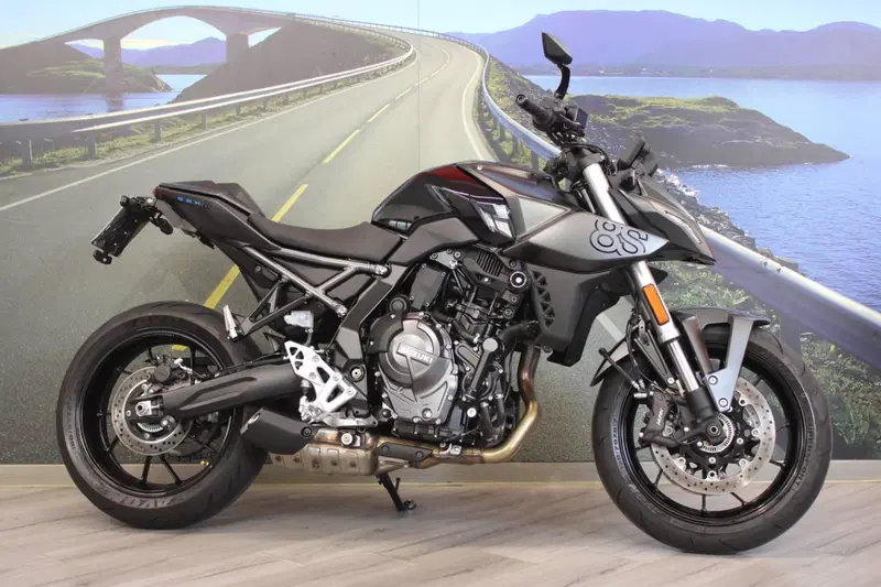 Suzuki GSX-8S (2023 - 24) (5)