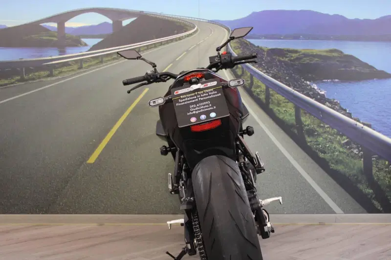 Suzuki GSX-8S (2023 - 24) (16)