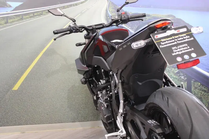 Suzuki GSX-8S (2023 - 24) (17)