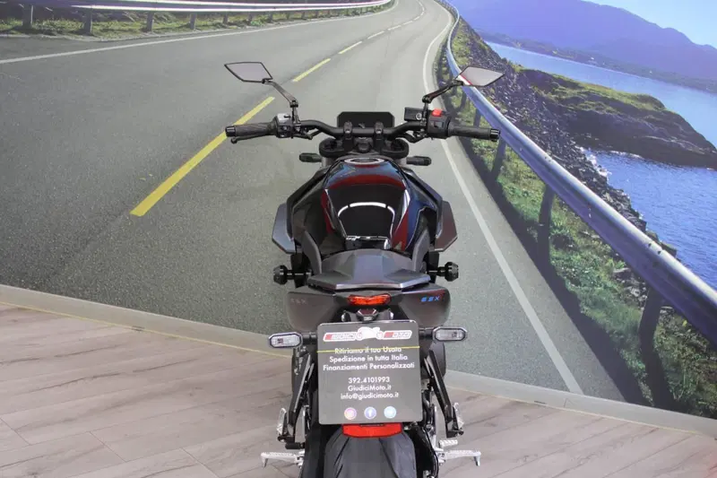 Suzuki GSX-8S (2023 - 24) (19)