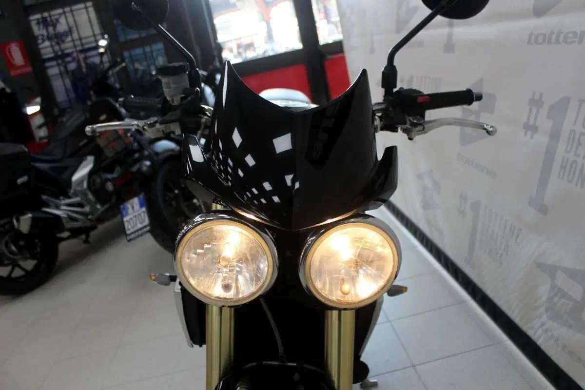 Triumph Speed Triple 1050 (2005 - 11) (4)