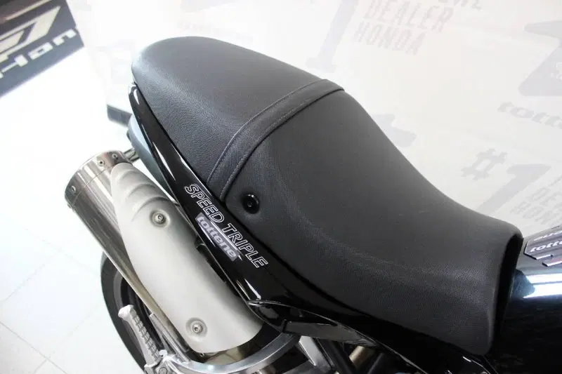 Triumph Speed Triple 1050 (2005 - 11) (5)