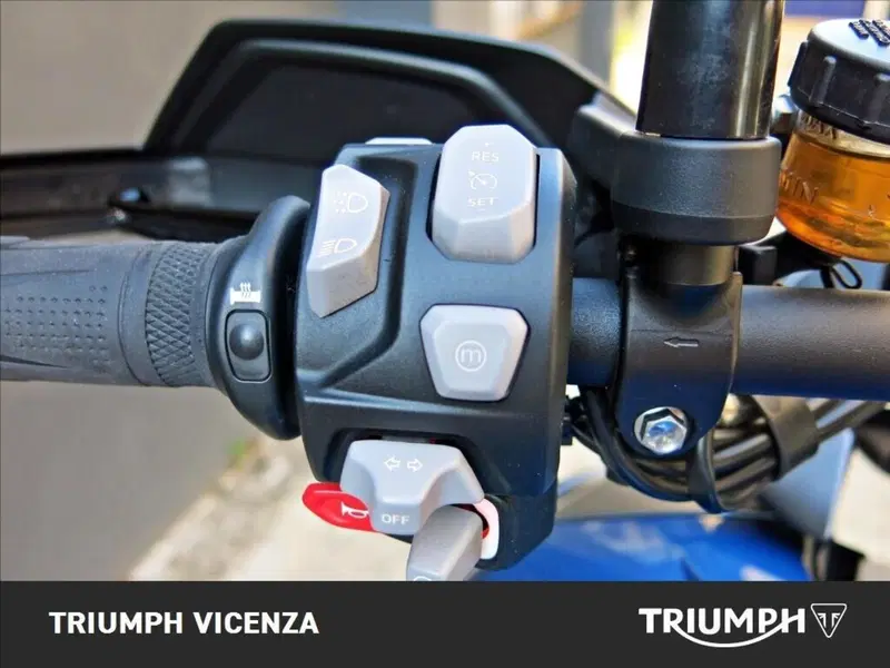 Triumph Tiger 1200 GT Pro (2022 - 23) (3)