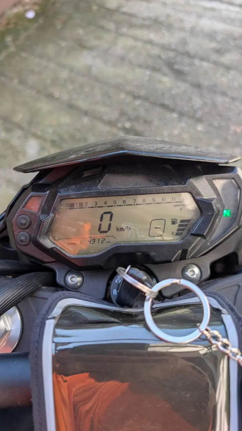 Benelli BN 125 (2021 - 25) (4)