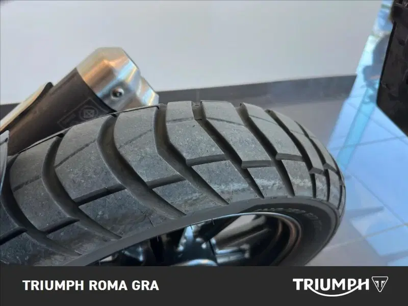 Triumph Scrambler 400 X (2024 - 26) (19)
