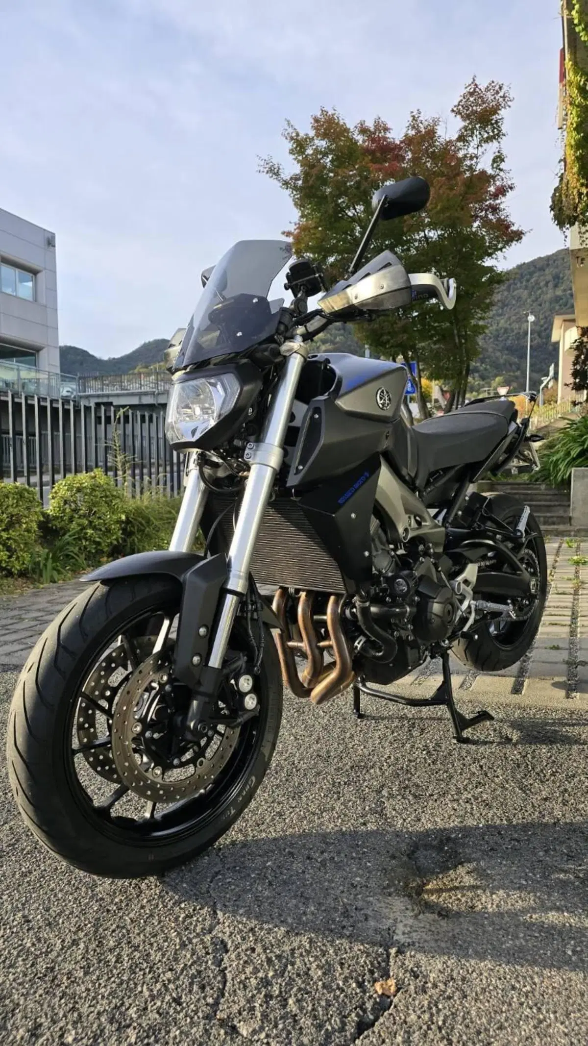 Yamaha MT-09 ABS (2013 - 15) (4)