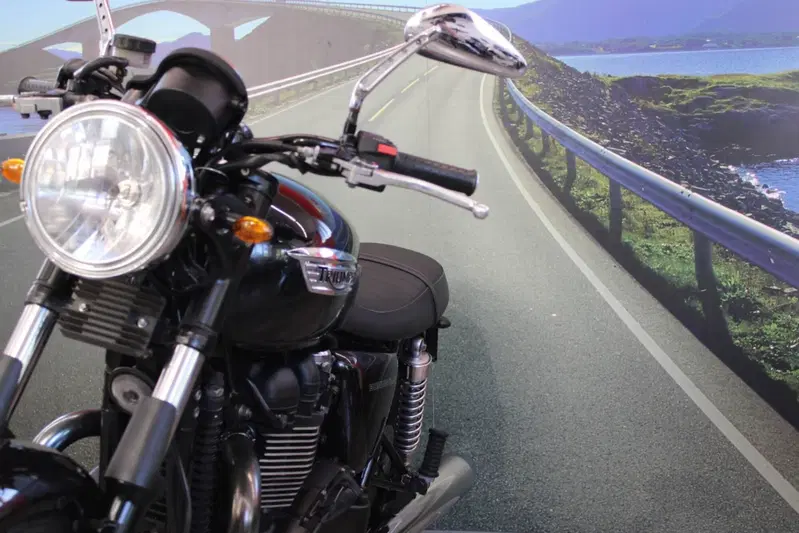 Triumph Bonneville SE (2009 - 13) (11)