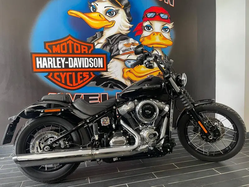 Harley-Davidson Street Bob 117 (2025 - 26)