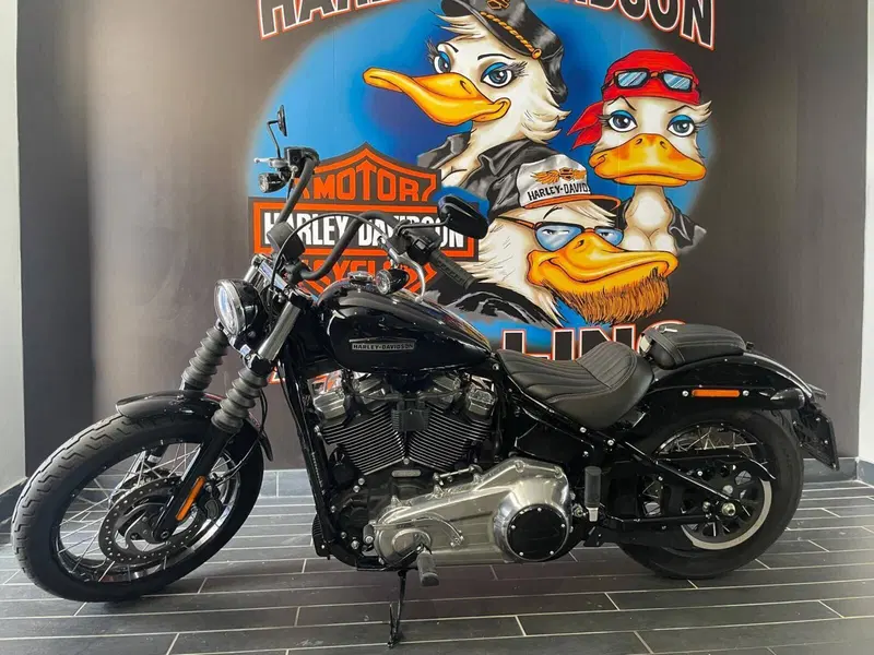 Harley-Davidson Street Bob 117 (2025 - 26) (2)