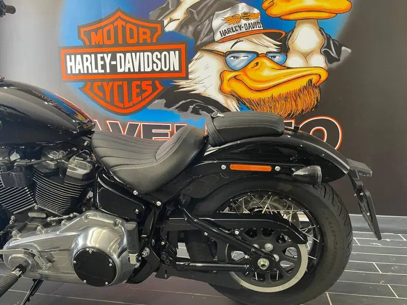 Harley-Davidson Street Bob 117 (2025 - 26) (5)