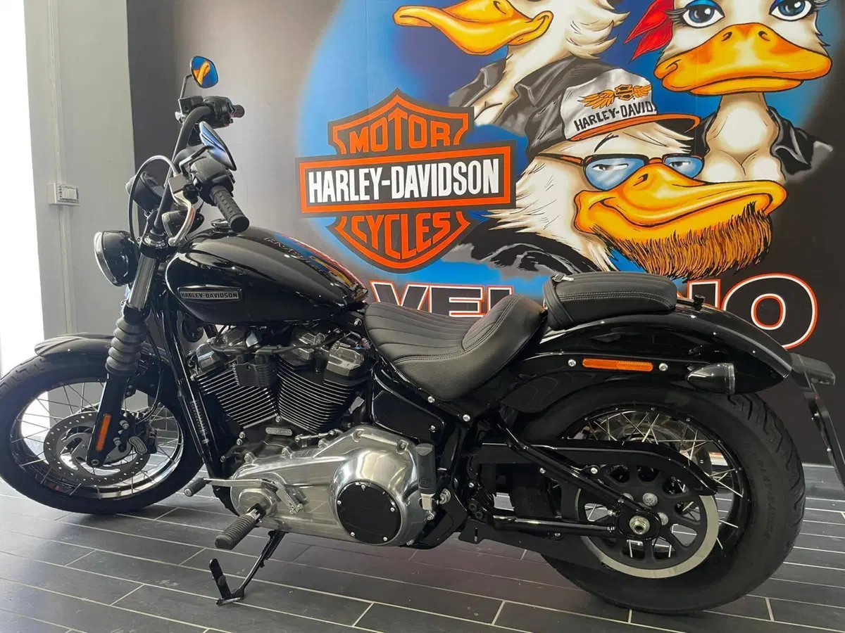 Harley-Davidson Street Bob 117 (2025 - 26) (6)