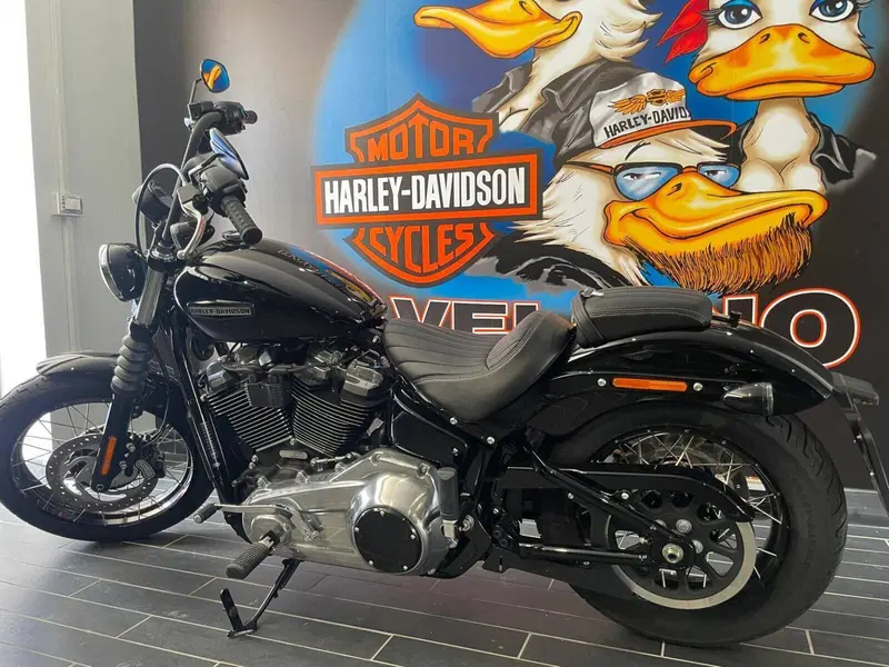 Harley-Davidson Street Bob 117 (2025 - 26) (6)