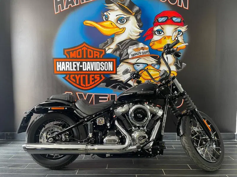 Harley-Davidson Street Bob 117 (2025 - 26) (7)