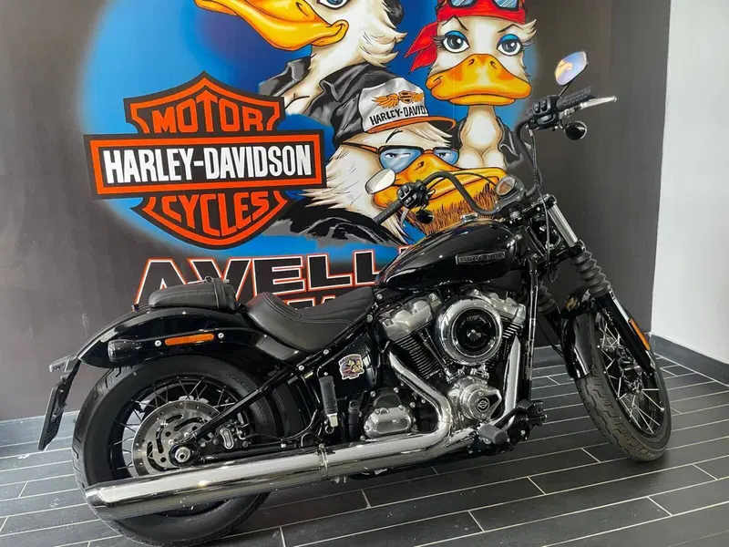 Harley-Davidson Street Bob 117 (2025 - 26) (8)