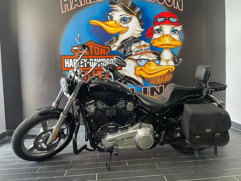 Harley-Davidson Softail Standard (2021 - 25)