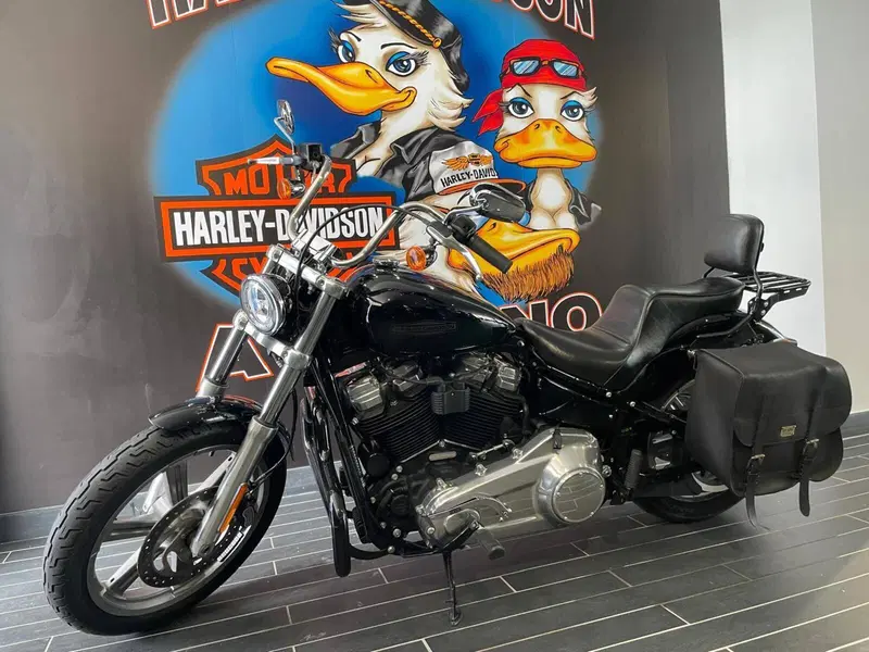 Harley-Davidson Softail Standard (2021 - 25) (2)