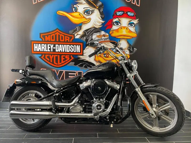 Harley-Davidson Softail Standard (2021 - 25) (3)