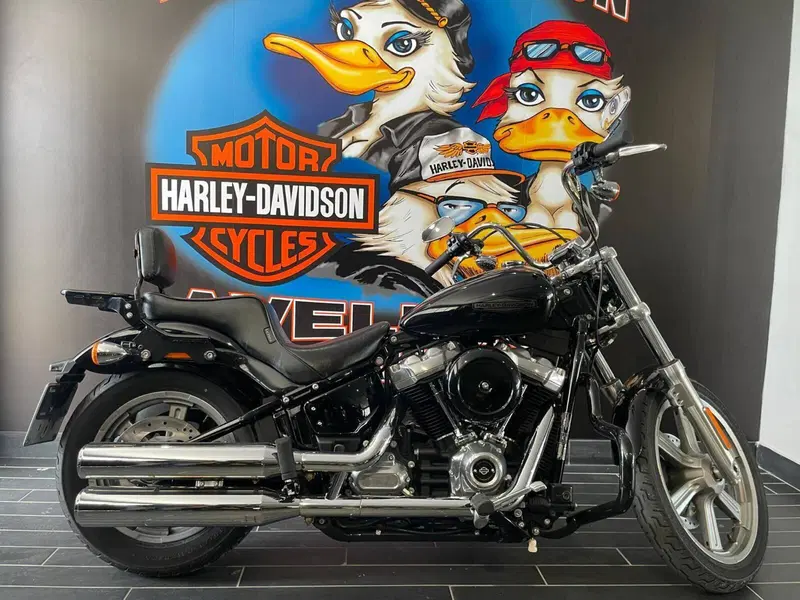 Harley-Davidson Softail Standard (2021 - 25) (4)