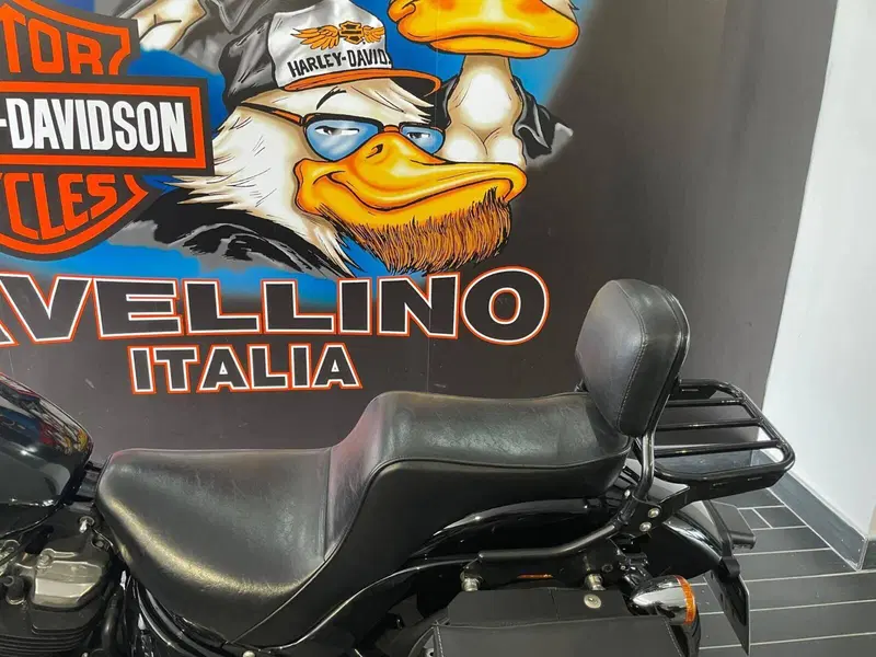 Harley-Davidson Softail Standard (2021 - 25) (5)